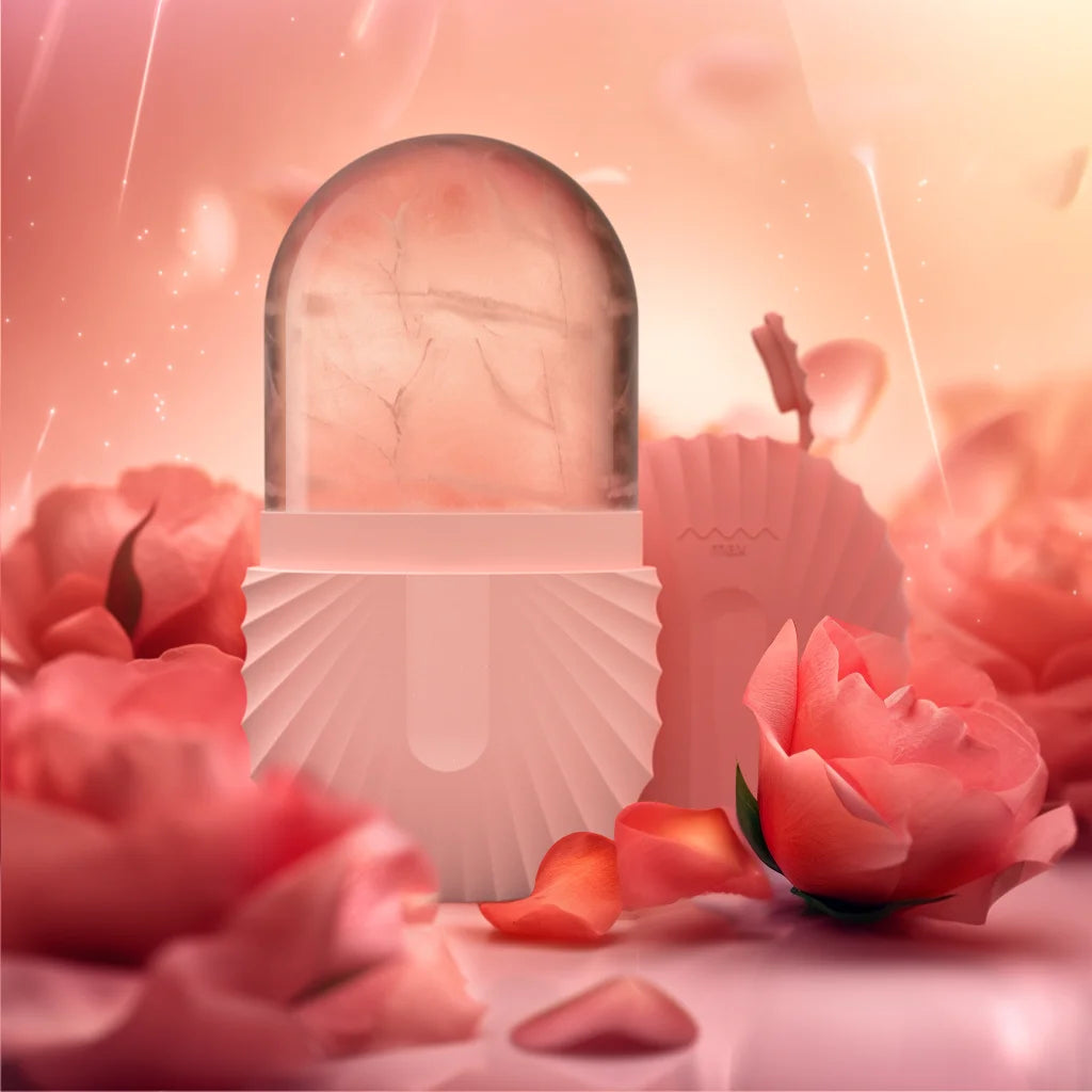 Sad449117ac0d4ea0a9a08fdbbfc565c6k